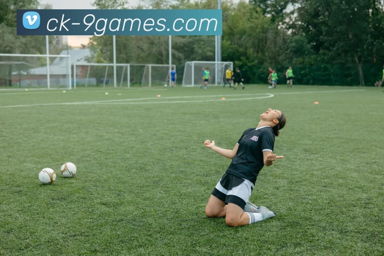 九游会员官网平台生态图