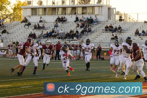 九游会员官网APP 封面图